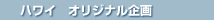 ハワイオリジナル企画